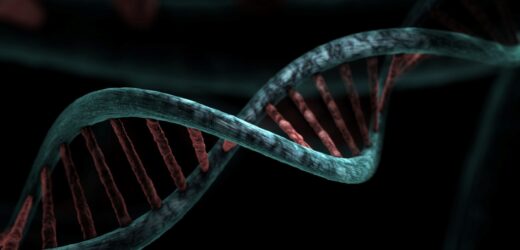 Dziedziczenie genów – co dziecko może odziedziczyć po rodzicach